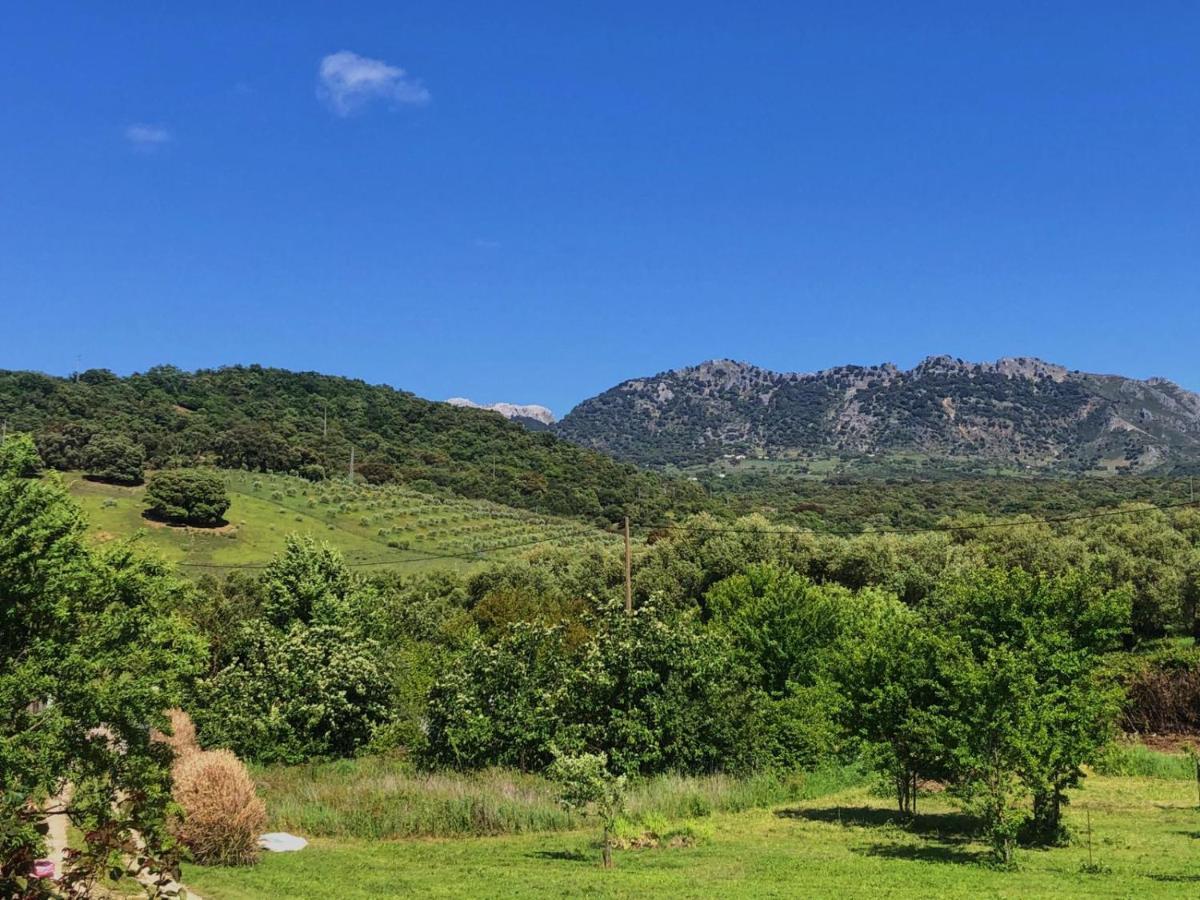 Finca La Rana Verde Cortes de la Frontera Exteriér fotografie