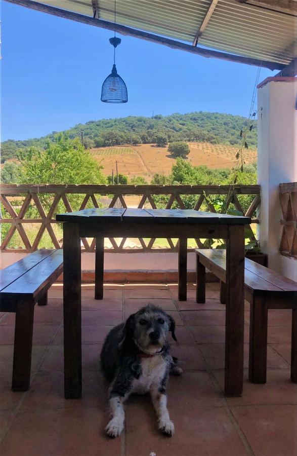 Finca La Rana Verde Cortes de la Frontera Exteriér fotografie
